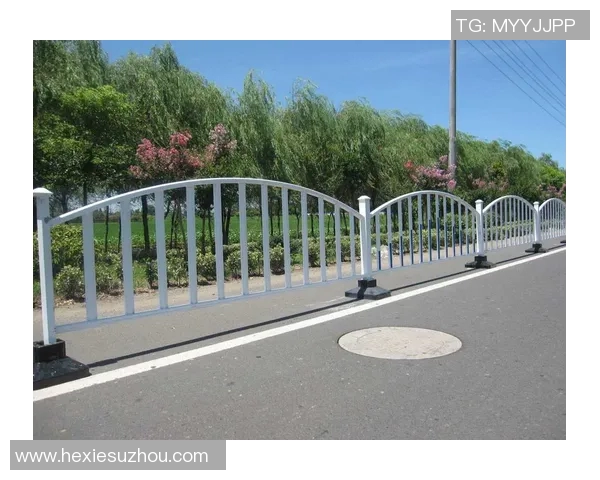 交通护栏的设计与应用研究：提高道路安全性与美观性的创新探索