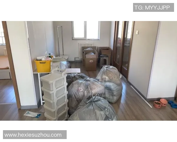 搬家过程中如何高效整理物品与搬运技巧轻松解决搬家难题